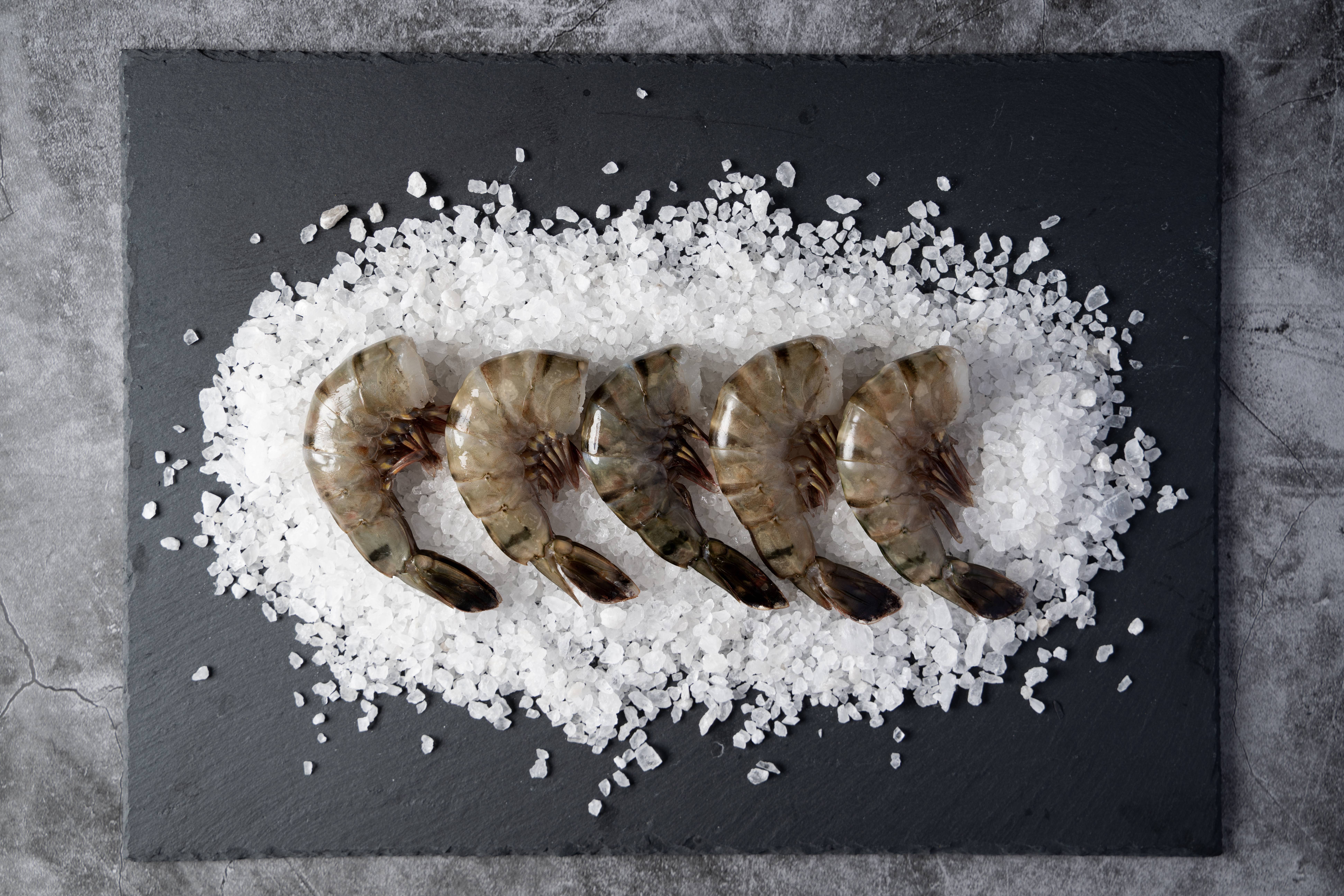 IQF Head Less Shrimp