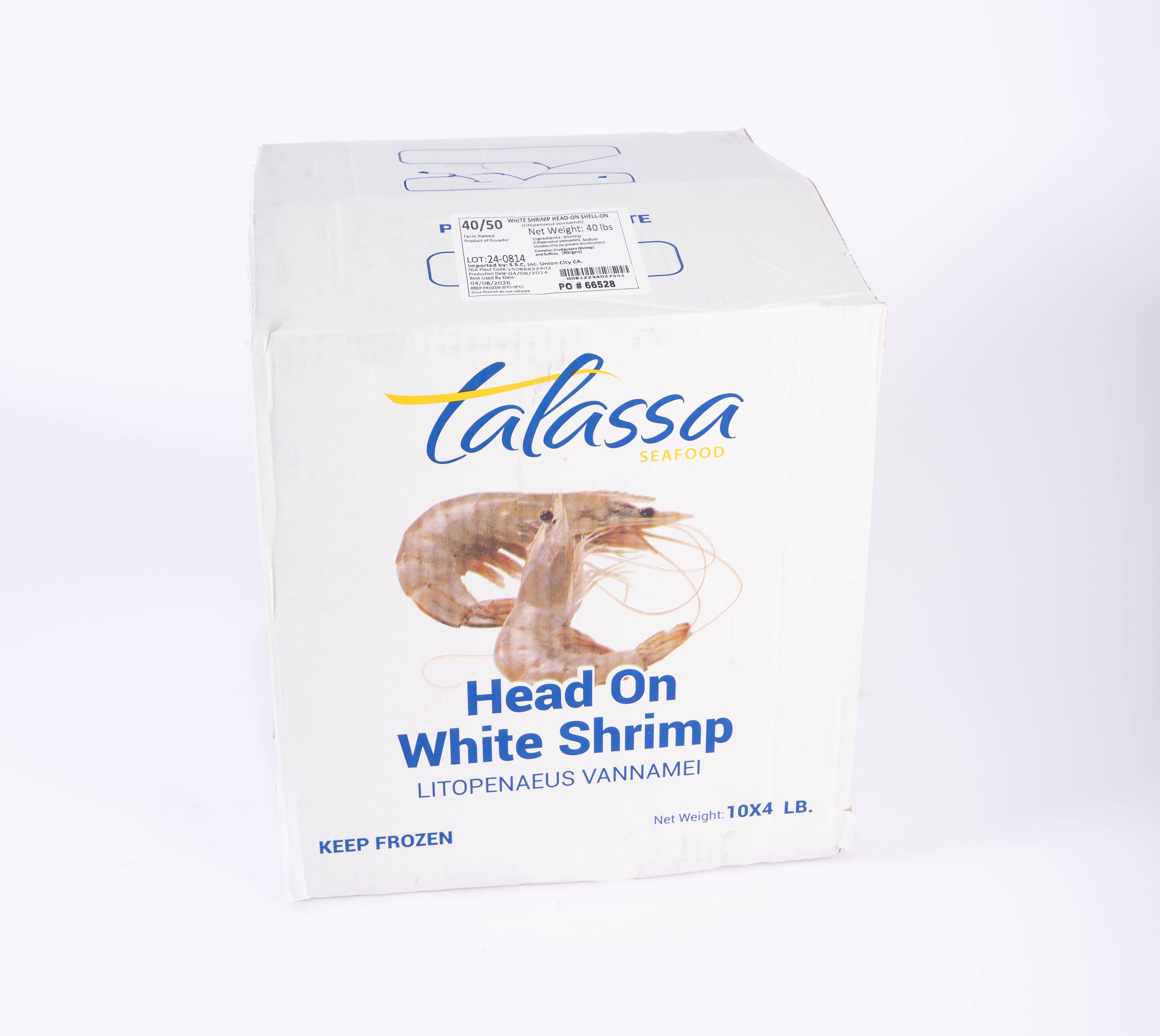 Head On White Shrimp