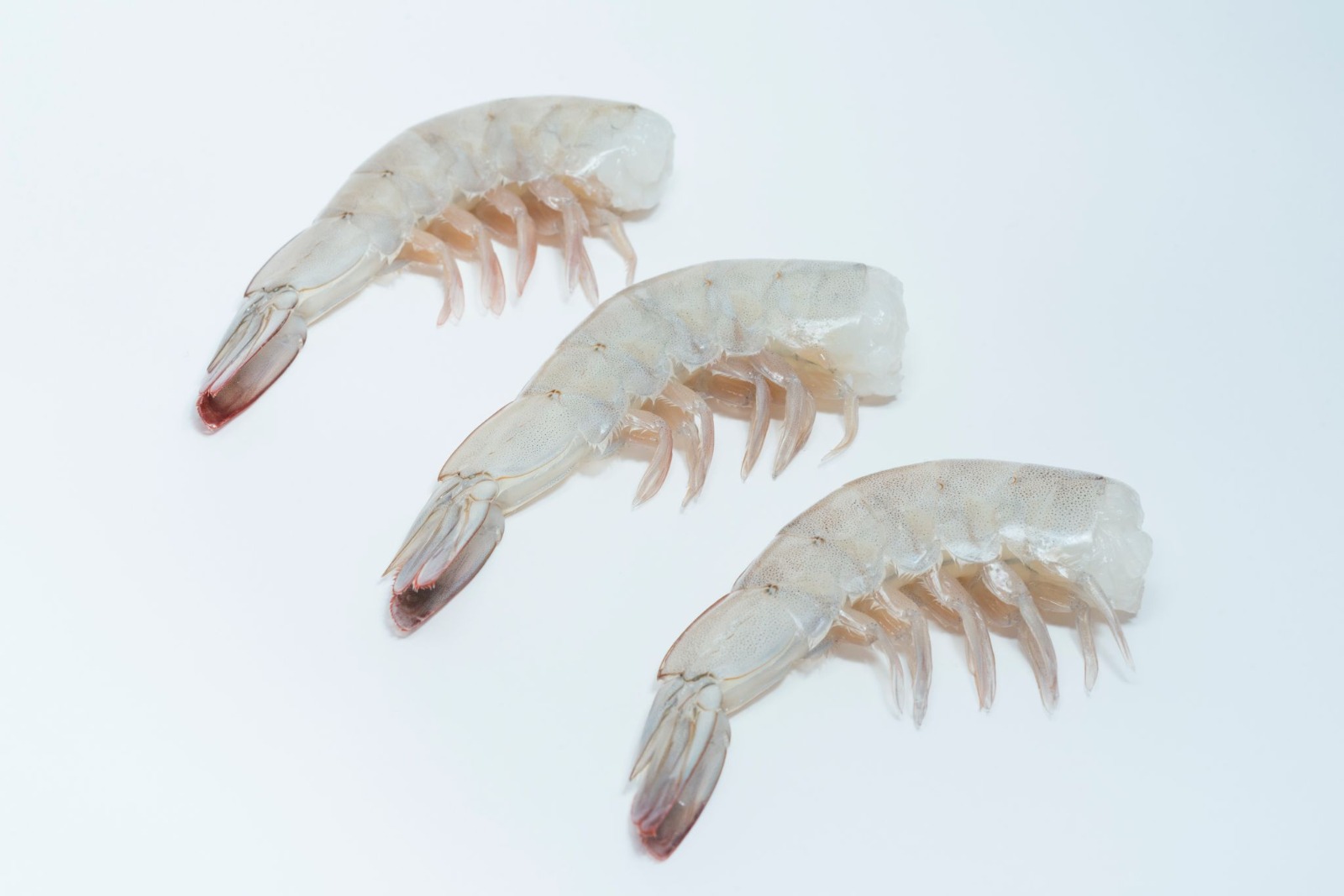 EZ Peel Shrimp